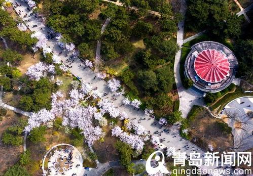 中山公园最新爆料,揭秘公园历史变迁与未来规划  第3张